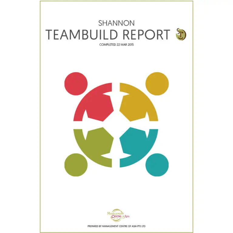 Team Build - DISC Report