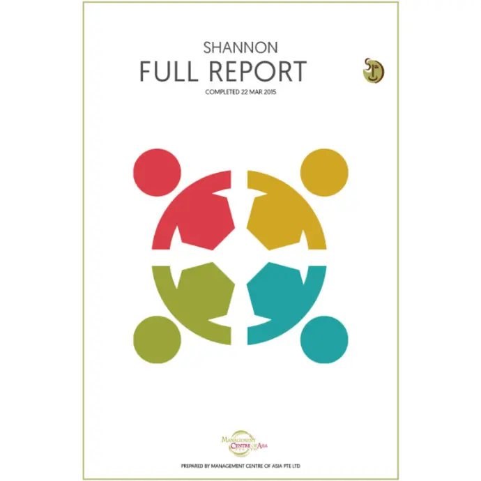 Full DISC Report