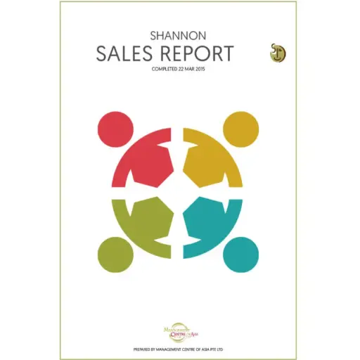 Sales Report - DISC